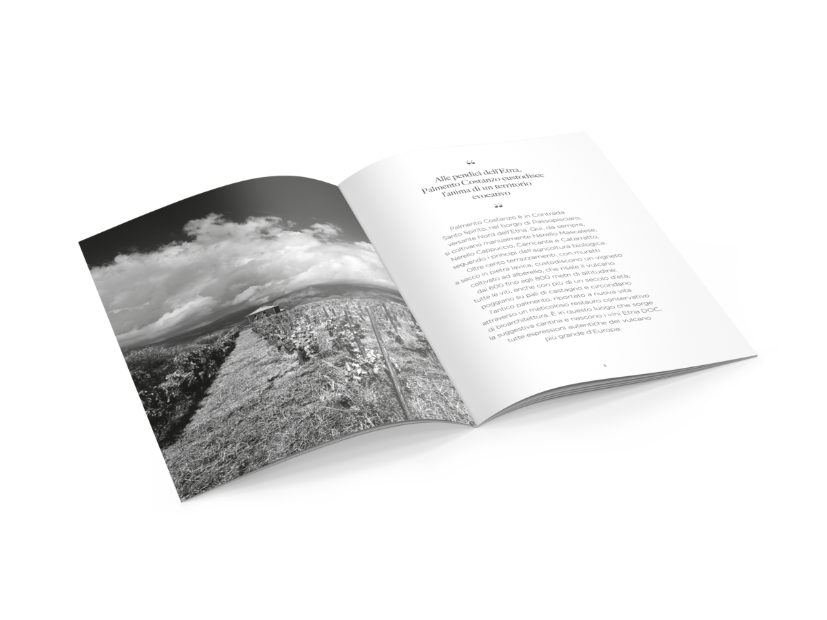 Mockup_A4_Brochure_2