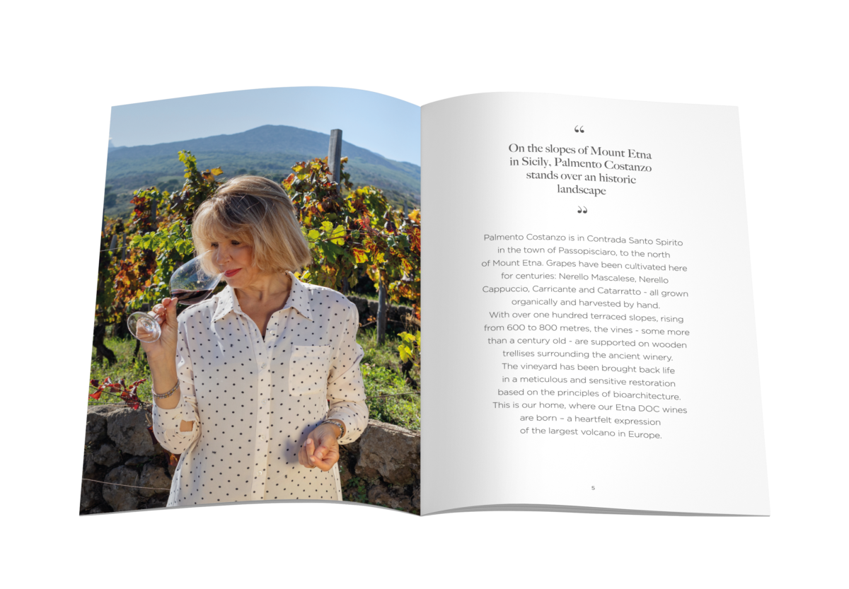 Mockup_A4_Brochure_3