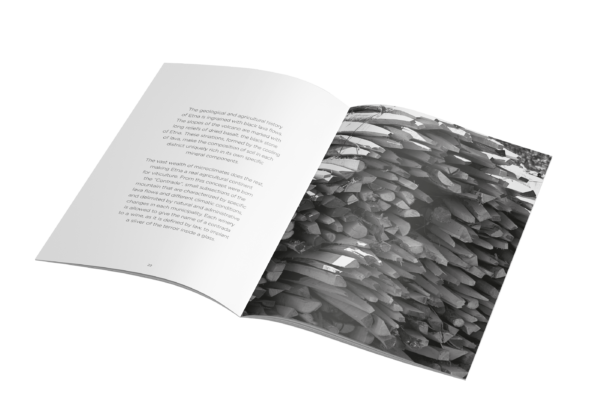 Mockup_A4_Brochure_5